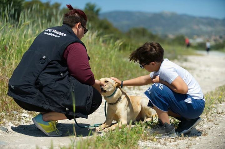 PetSpotPro's tweet photo. Your can find our image gallery from today's #dogwalk at @SiriusDogs318 here:
https://t.co/RDMbwMIWWx
#cyprus #limassol #RescueDogs #dogs https://t.co/gaa1hSGOxp