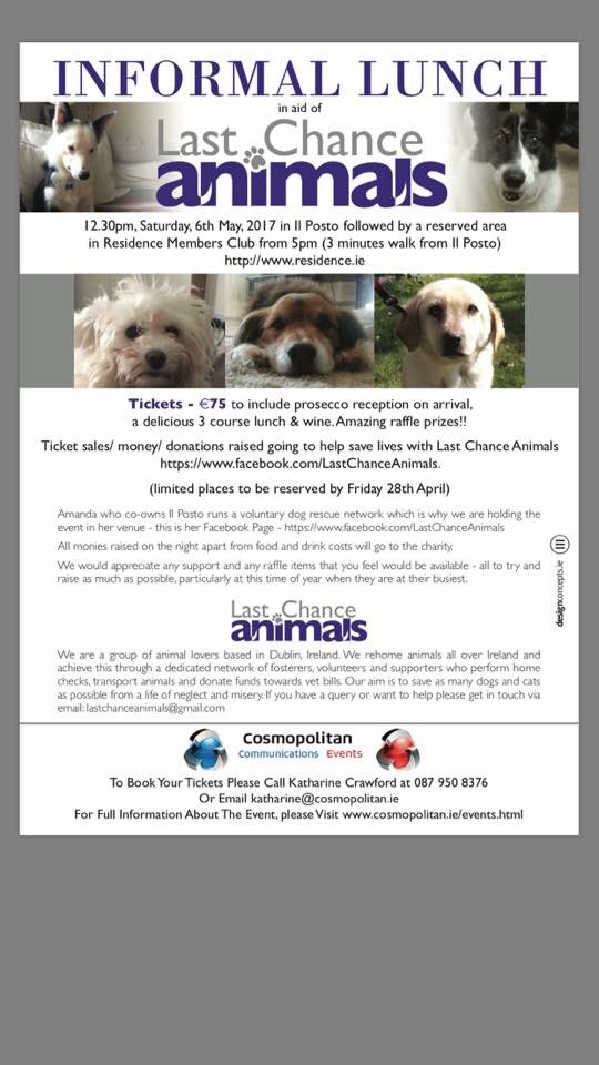 KathCrawford's tweet photo. Saturday 6th May, please join us and help raise funds to save some doggy lives! https://t.co/iNk0WigaqX #charity #dogs #fundraiser #dublin https://t.co/VqlIZpz1KV