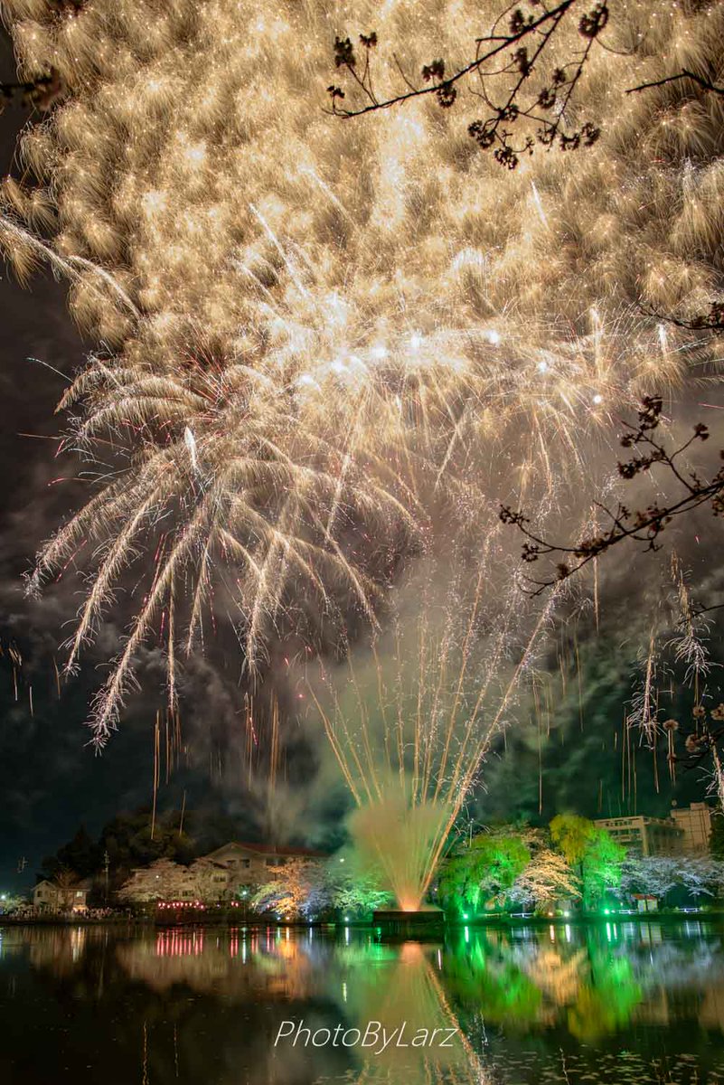 らあず در توییتر 東金桜まつりの花火大会 桜と花火なんて素敵すぎました 東金桜まつり 千葉が美しい カメラマンさんと繋がりたい 夜桜