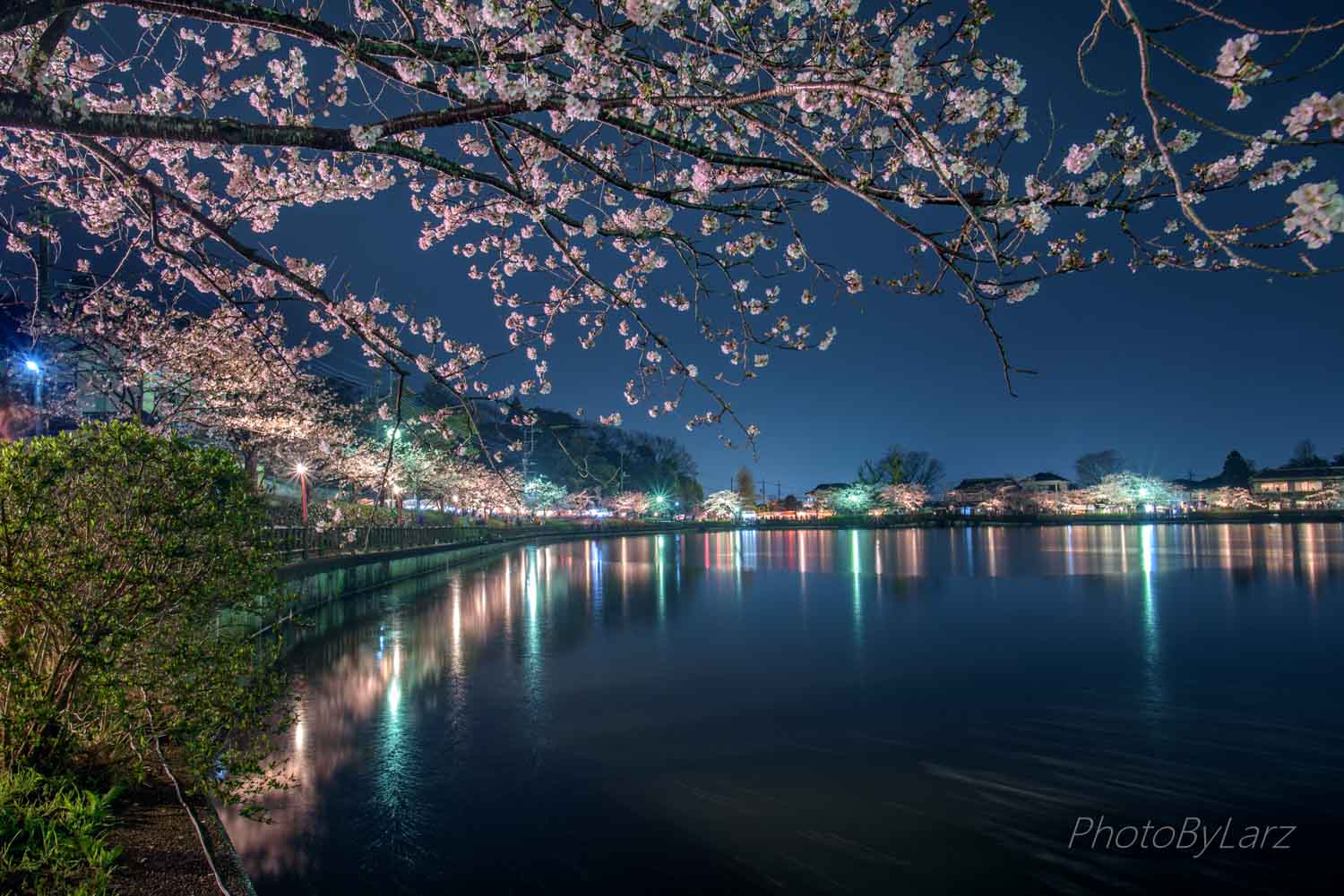 らあず 東金桜まつりの花火大会 桜と花火なんて素敵すぎました 東金桜まつり 千葉が美しい カメラマンさんと繋がりたい 夜桜 T Co 3bvbhjcygq Twitter