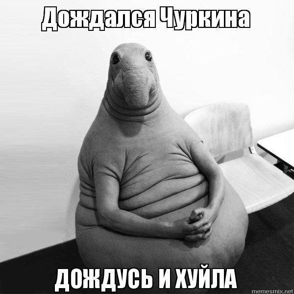 Совбез ООН осудил атаку террористов на христианские храмы в Египте - Цензор.НЕТ 9530