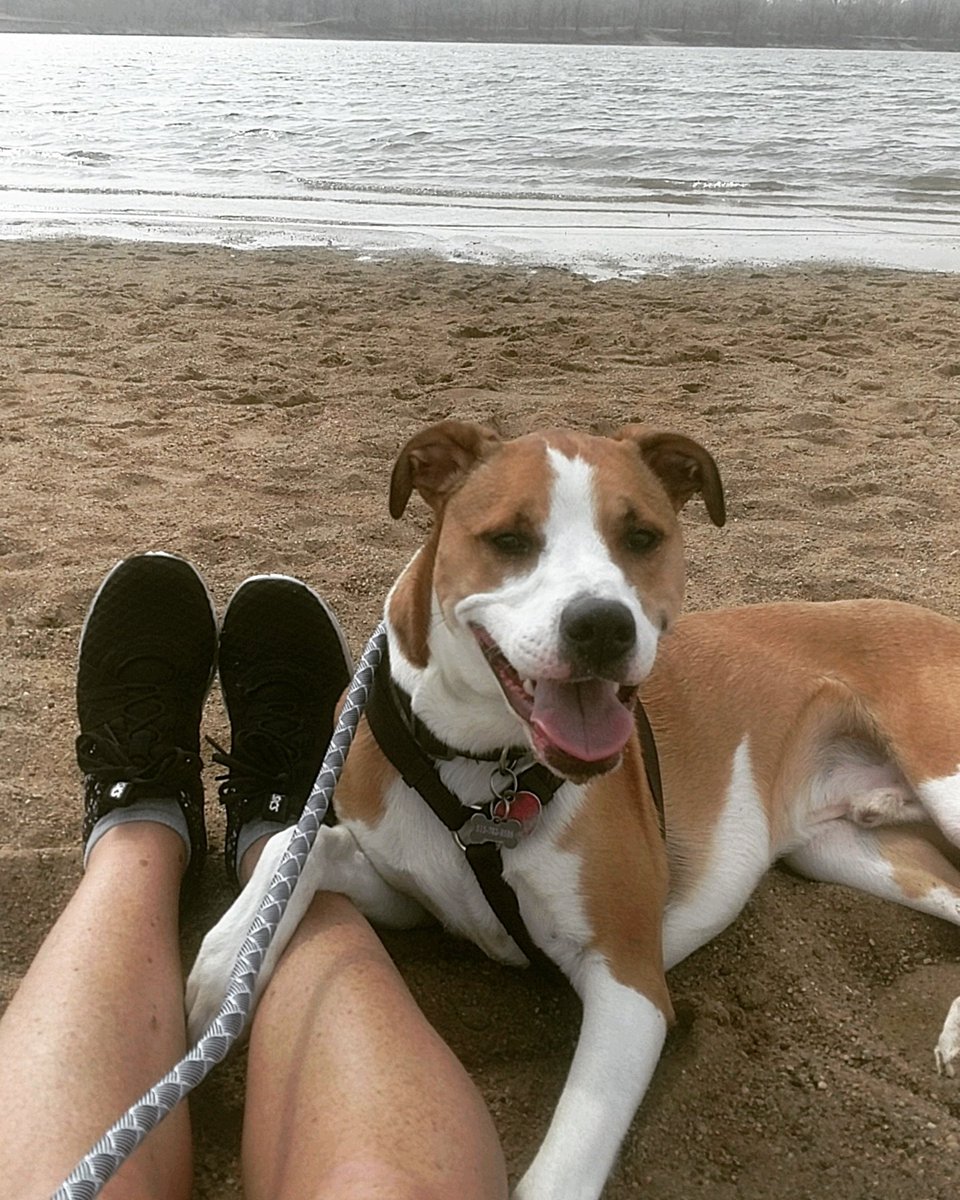 mw379676's tweet photo. Oliver had to work off that beer he consumed last night...#runningdate #ollieadventures https://t.co/H9fE2DT2CC