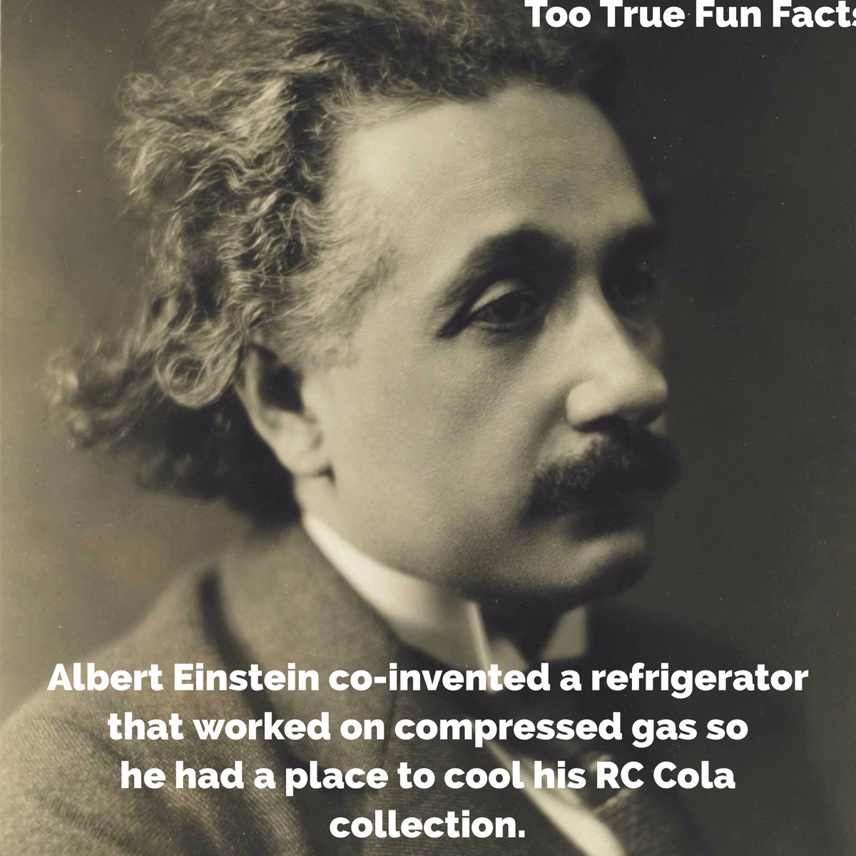 Too True Fun Facts An Acquired Taste Science Sciencesunday Scientists Alberteinstein Einstein Comedy Funny Lol Humor Humour Parody Parodyaccount T Co 1cnamvan48