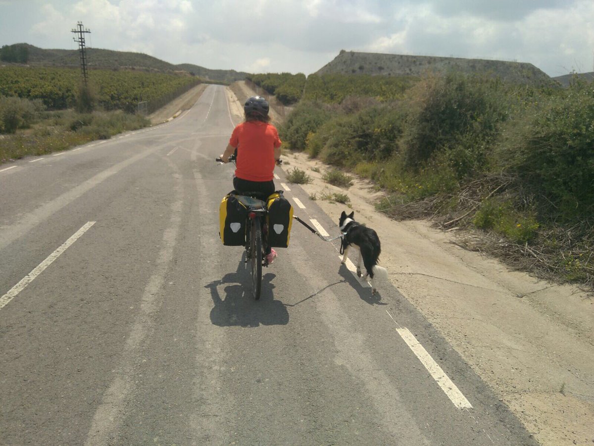 HumanMotorBlog tweet picture