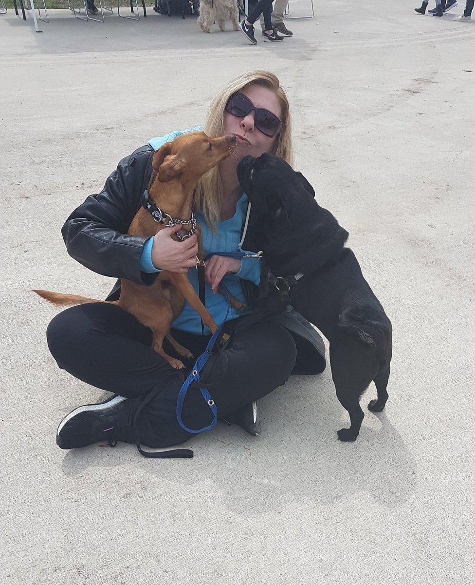 radiostace's tweet photo. Kisses! ππΆ #dogsoftwitter #humberdogsquad #pupsforpups https://t.co/nDTqYTaSWc