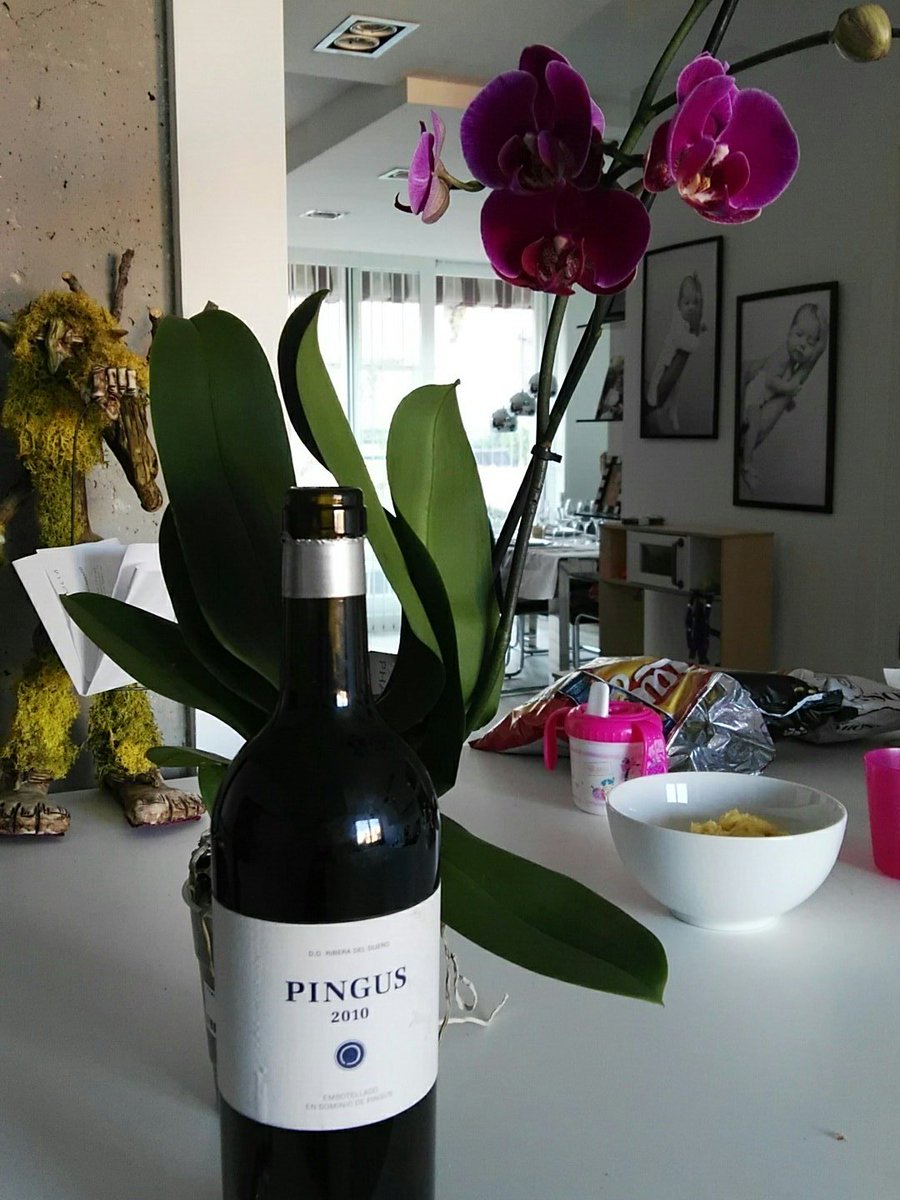 Hoy toca celebrar los #39 con #pingus !!!