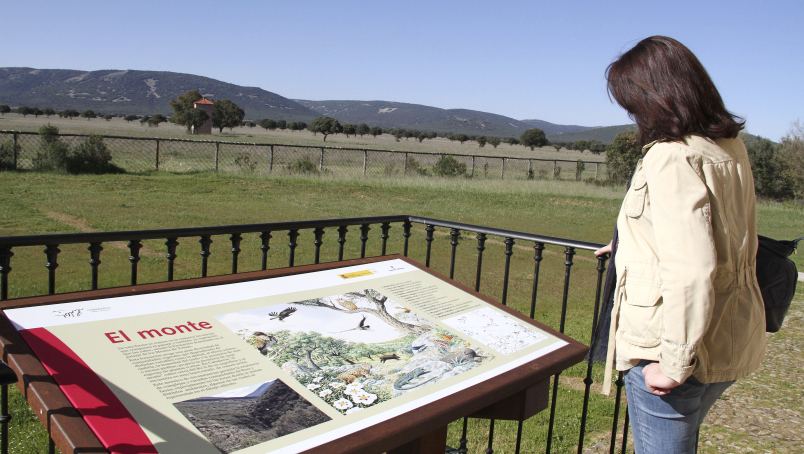 🏞️ #SOCIEDAD | El Parque de Cabañeros propone dieciséis rutas de senderismo para disfrutar la primavera clm24.es/articulo/socie… vía <a href="/24clm/">clm24.es</a>