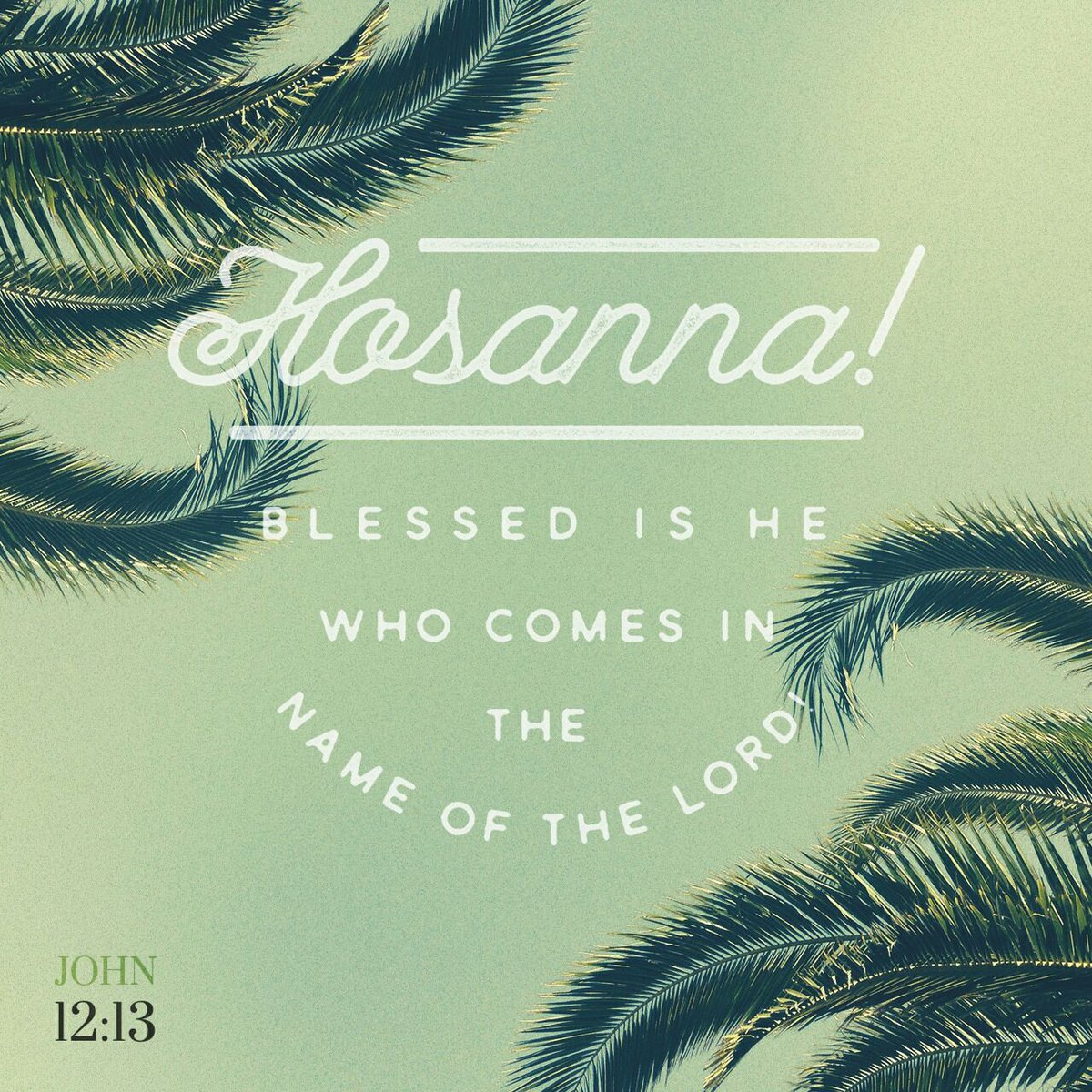Mspollard18's tweet photo. Took branches of palm trees, and went forth to meet him, and cried, Hosanna: Blessed is the King of Israel…
https://t.co/UbN2iWfv9D https://t.co/MaiAIKtdtY
