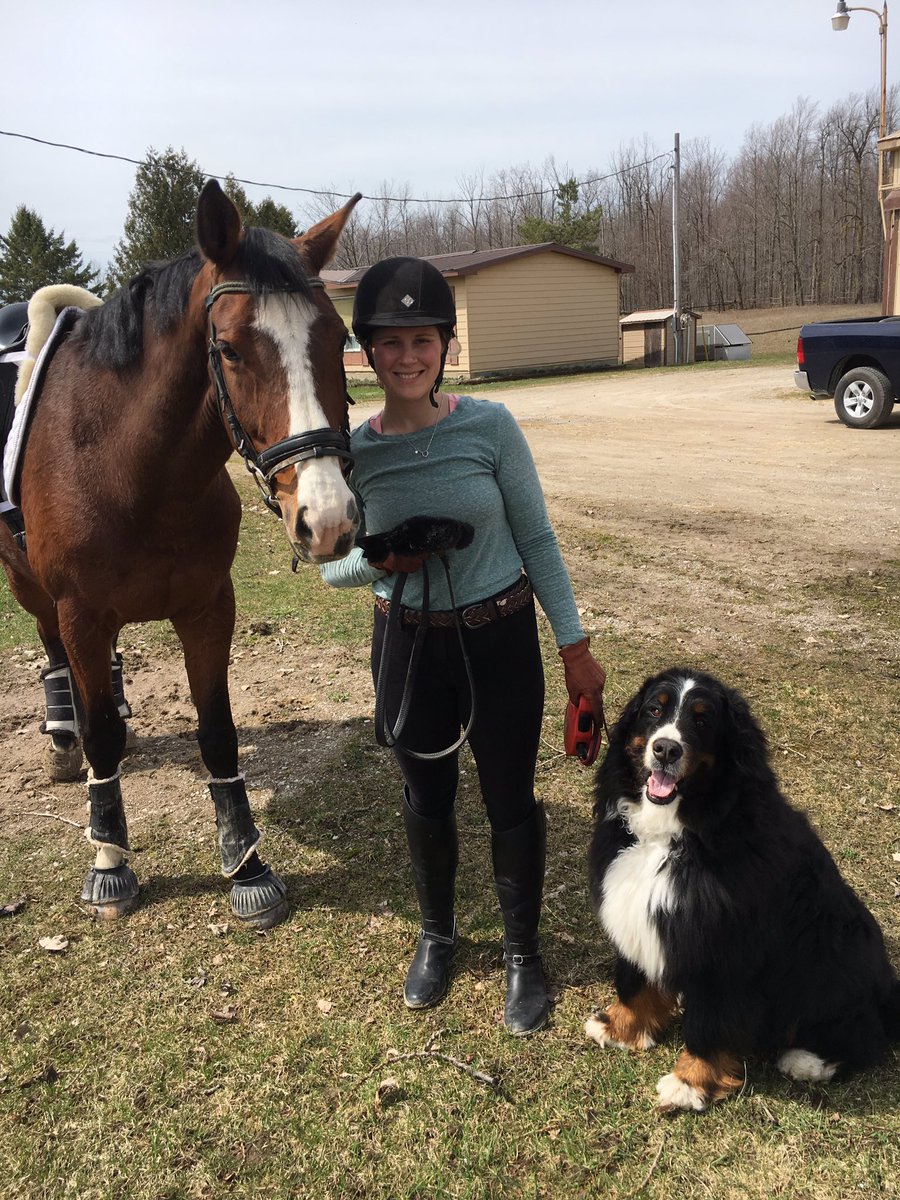 DressageAmanda9's tweet photo. Four legged families are awesome #sundayfunday #2ndlevelprep #dressagerider #bernesemtndog @horsemom2016 https://t.co/roYRn8h2Fj