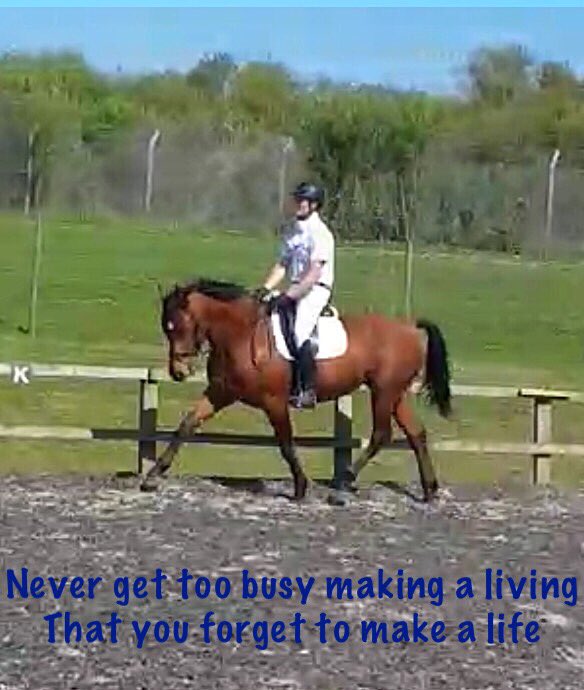 BRS_Eventing's tweet photo. Great day with our second attempt at a novice dressage. #RidingIsRewarding #RoadToNovice #AlwaysAnEventer https://t.co/cIr1Ourju3
