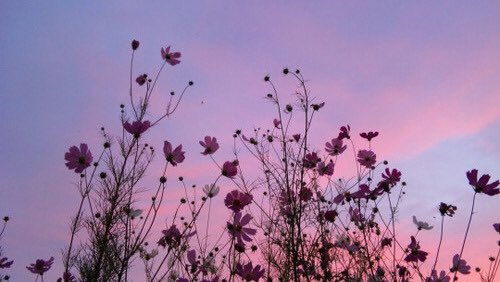 HttpShadowSoul's tweet image. "H-H-Help... M-M-Me..."
🖤Natalie
🖤ships w/ chem 
🖤crack/serious 
🖤Bi
🖤Weak
🖤Scared
🔪Rts are fine!🖤