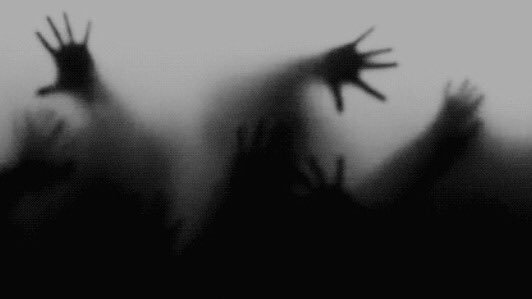 HttpShadowSoul's tweet image. "H-H-Help... M-M-Me..."
🖤Natalie
🖤ships w/ chem 
🖤crack/serious 
🖤Bi
🖤Weak
🖤Scared
🔪Rts are fine!🖤