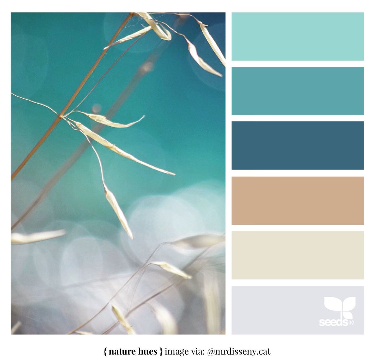 shayfrom_thebay's tweet image. Color Palette of The Day: Nature Hues #DesignSeeds #Color