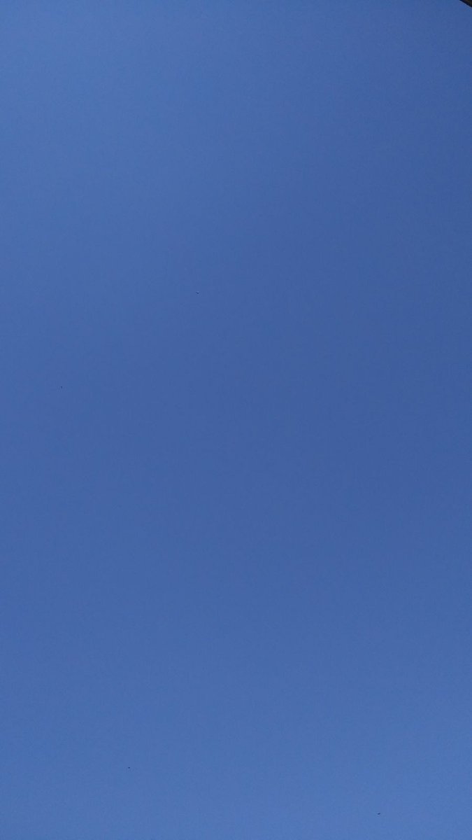 omicpair's tweet image. A photo of the sky earlier today