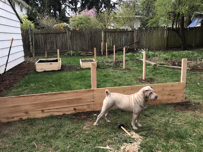 Fence progress 🤓 https://t.co/V78utAmujz