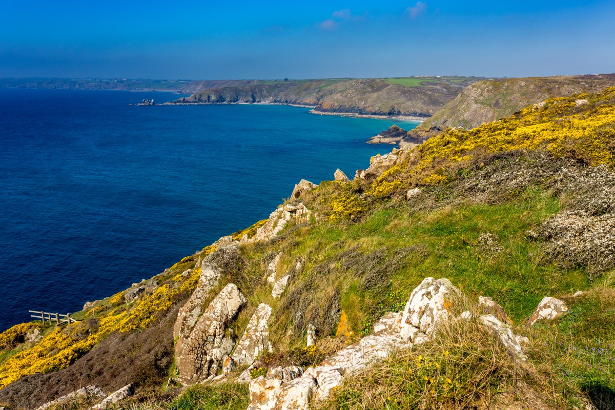 lakelandviews's tweet photo. Wandering the South Coast Past Coverack to Cagwidth on the Lizard Peninsula #Cornwall #visitcornwall #Cornishife #lovescornwall https://t.co/Joseh3UYKv
