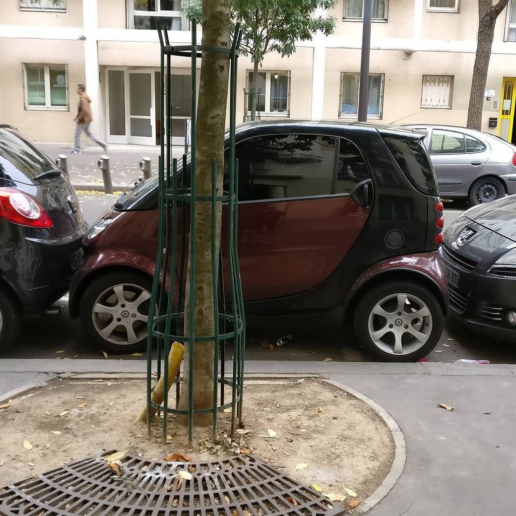 Alex Orden Lanchas tweet media