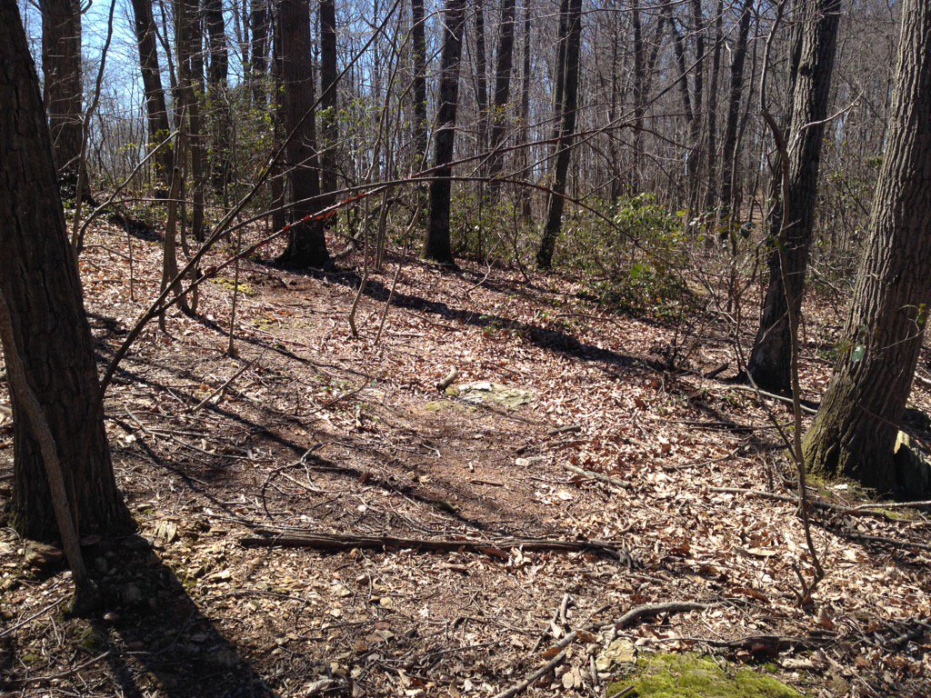 cheerinfinity7's tweet photo. A walk through the woods https://t.co/CQIH5YBe0v