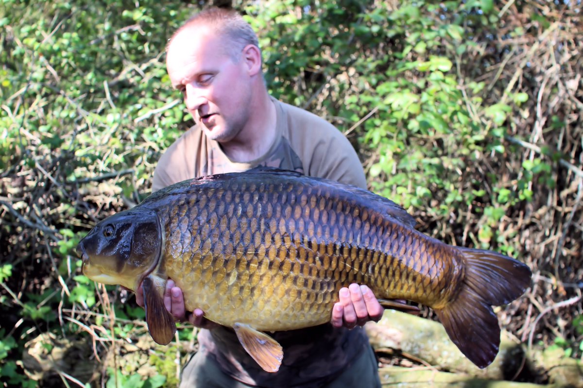 RobAndrews67's tweet photo. Almost 100lb this weekend. Commons of 30.10 &amp; 33.02 plus a rarer apple slice mirror 35.14. Love spring! https://t.co/6Q17IRnYRW