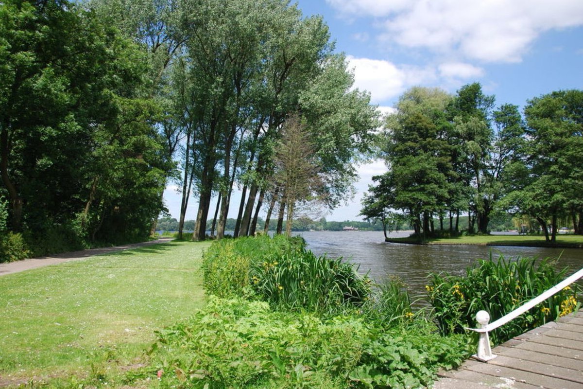 Stadmaken010's tweet image. Uit het @gesprekmdstad blijkt dat Rotterdammers meer groen willen in de stad #rtvrijnmond rijnmond.nl/nieuws/153712/…