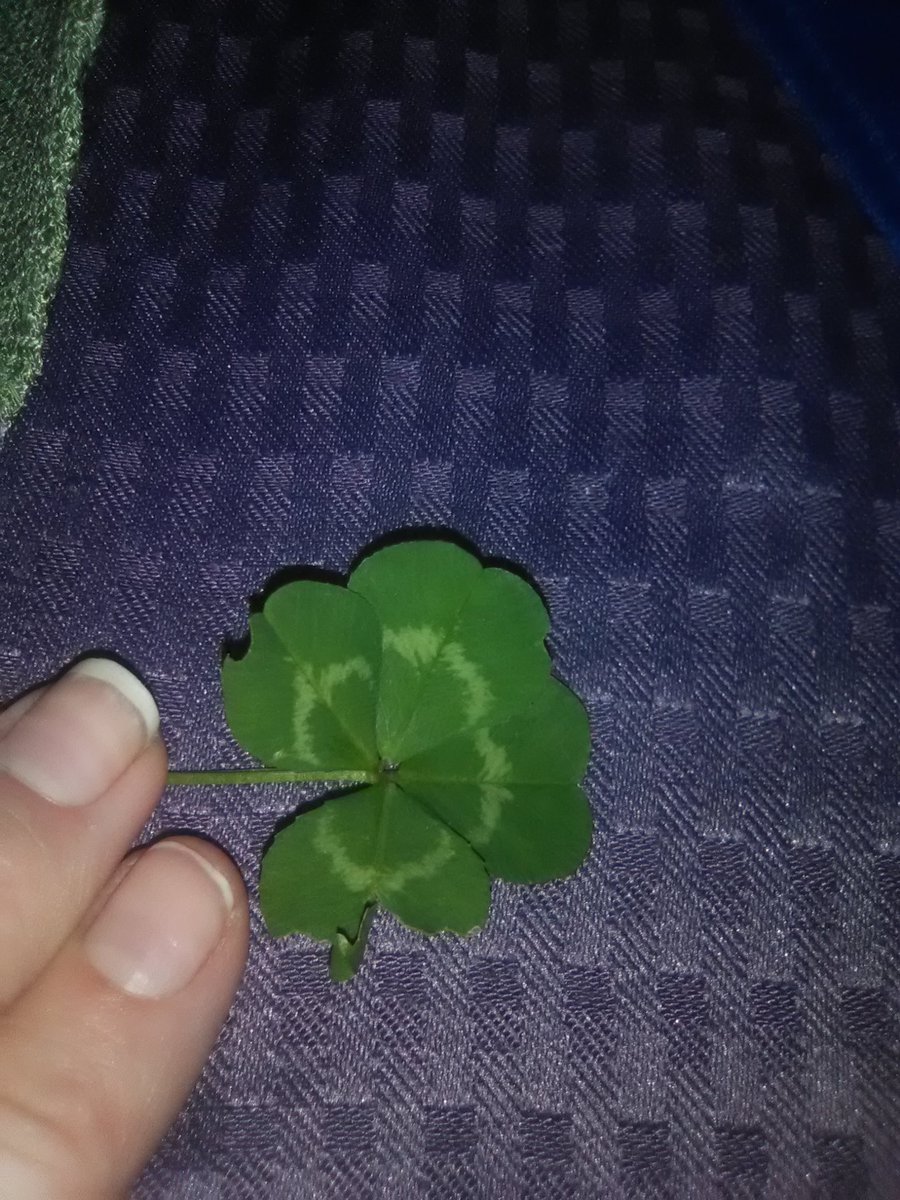 CassandraDrive2's tweet image. Luck is on my side....As always!!!