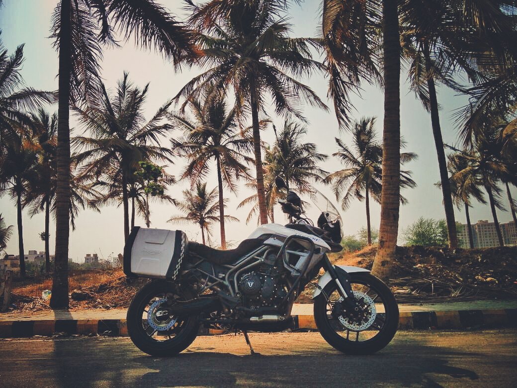 adityachatterG's tweet photo. @UKTriumph #Tiger: Everyday is an adventure. Indulge in it #ForTheRide https://t.co/NRrjENmq4Y