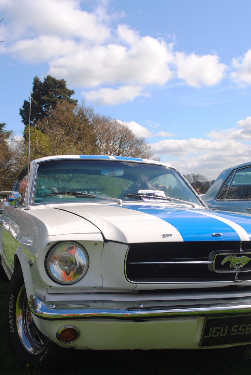 Masked_Kidd's tweet image. A Mighty Ford Mustang In The Wilderness 😍 #photo #photos #pic #pics #like4like #picture #pictures #snapshot #art #beautiful #mustang #ford