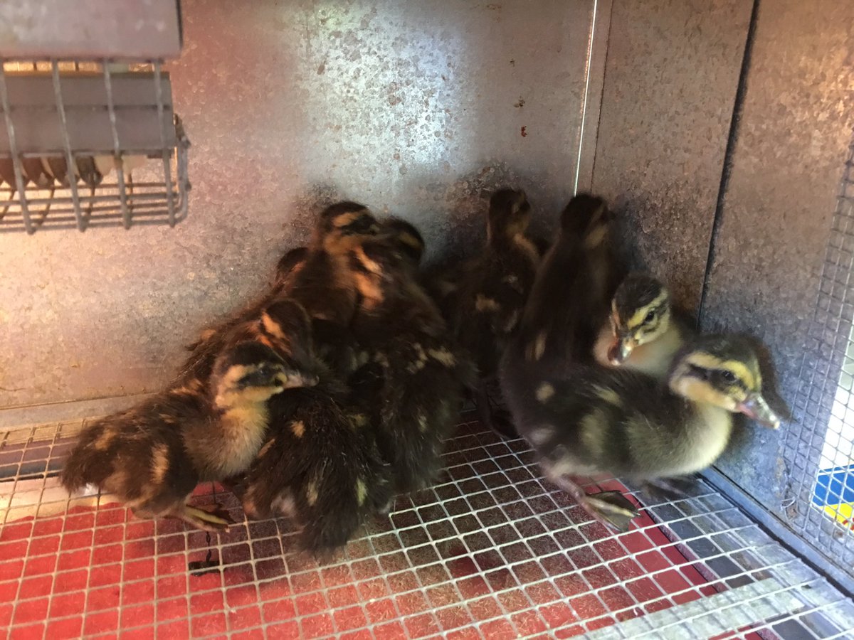 Crystal Turner tweet media