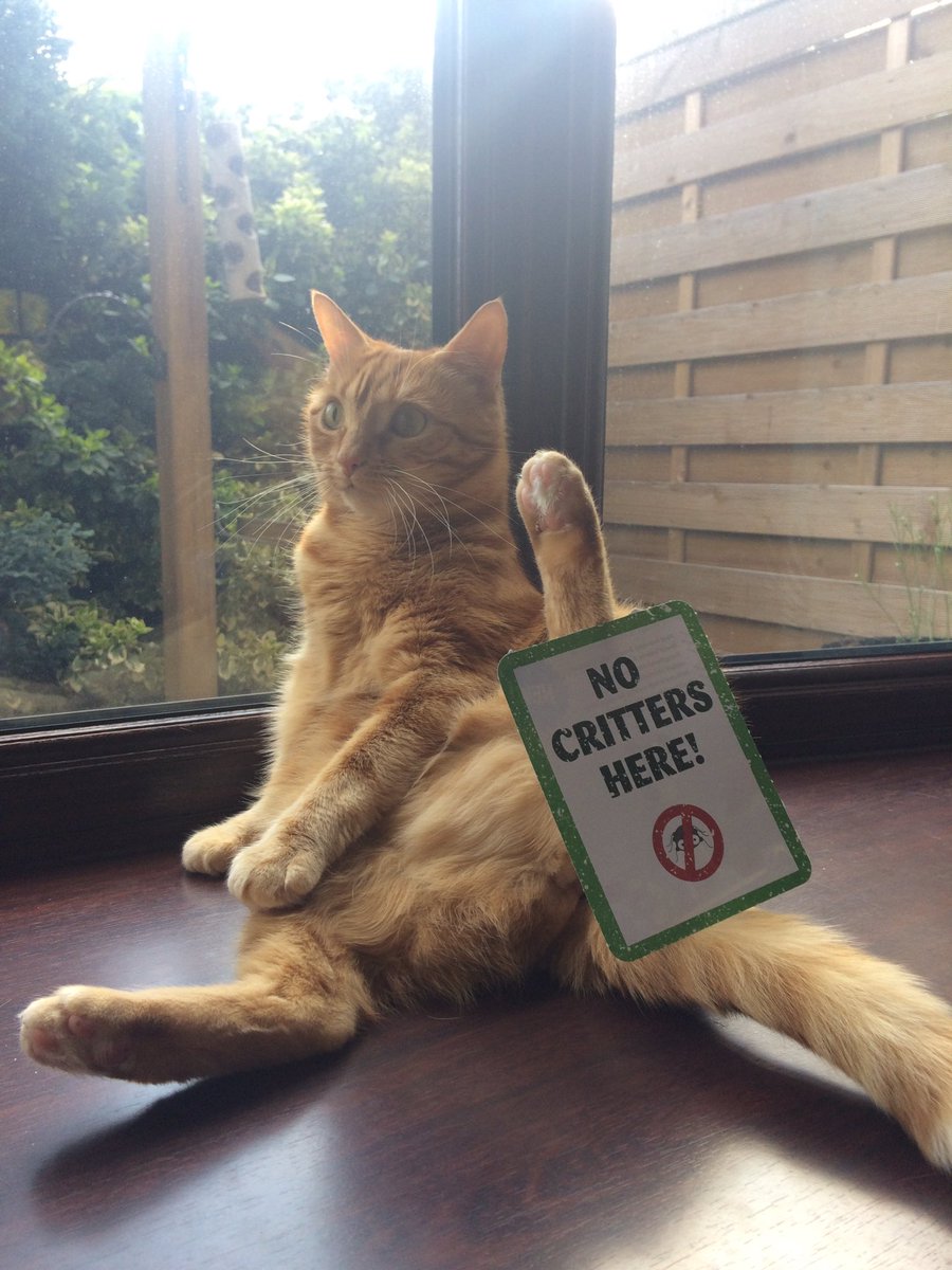 dancingIssy17's tweet photo. @PetsatHome #critterfreeVIP Kali displaying her no critters here badge!! https://t.co/jxpGT3dO6E