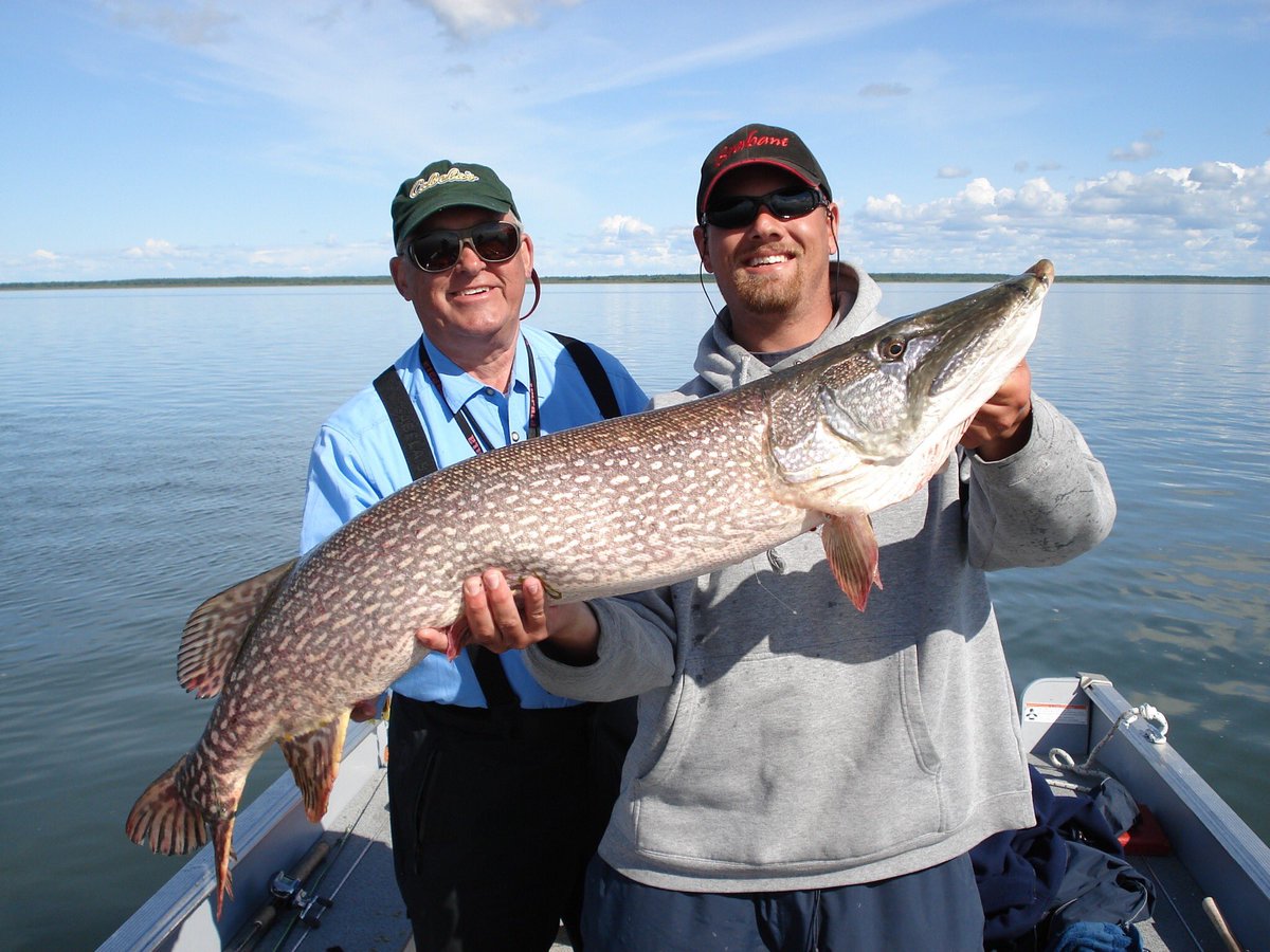 northangling's tweet image. Ice fishing has been closed for two days and we've already got the itch.  Looking forward to warm days chasing #bigpike! #fishing