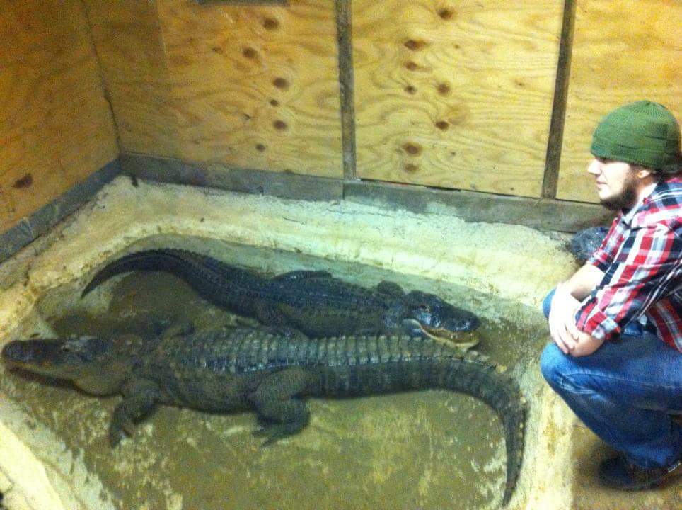 venomman20's tweet photo. Someone isnt happy. These guys are enjoying the winter in their heated pool in the summer the have two ponds to swim throughout. https://t.co/HtBblpdRMk