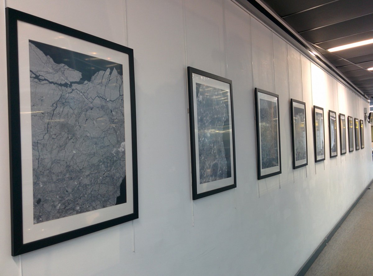 EMC_PlymUni's tweet photo. #MicroscopyMonday in aid of @AnotherPlace17; exhibition open @PlymUni until April 10. Prints for #charity sale: https://t.co/A5LQib4BTs https://t.co/KLwOFgy7xU
