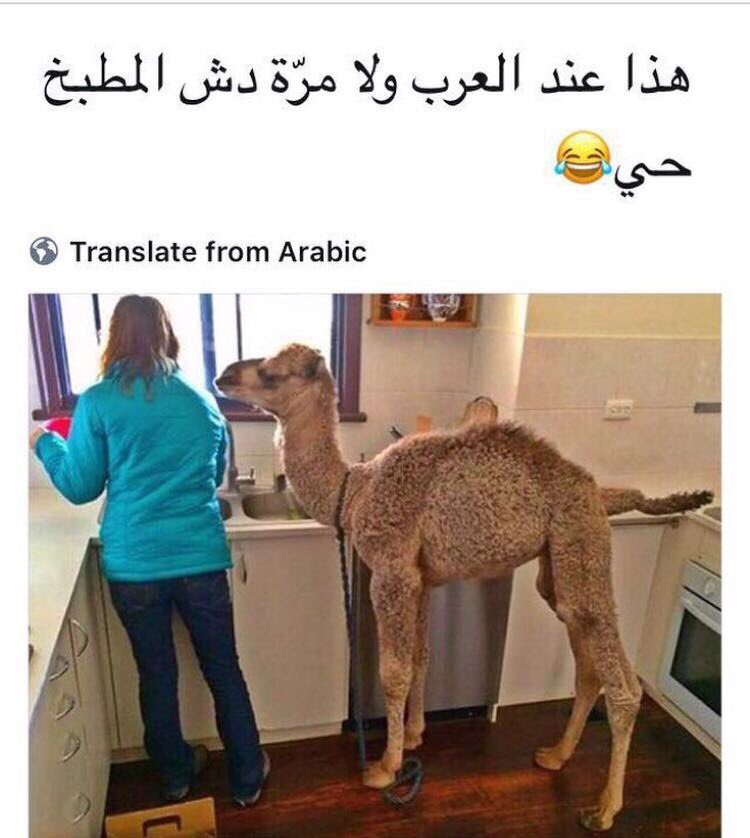 3athba_q8's tweet photo. معبره 😂 https://t.co/Qjxl3IzwtP