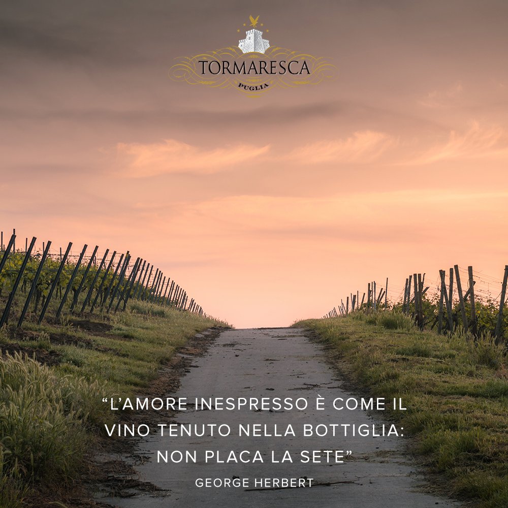 “L’amore inespresso è come il vino tenuto nella bottiglia: non placa la sete” George  Herbert #Tormaresca #TormarescaQuotes #winequote