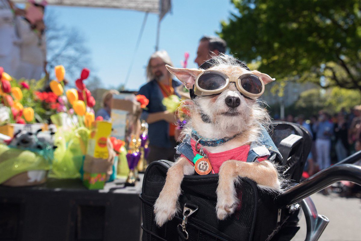 DFWStuff's tweet image. Brunch @WarwickMelrose dovetails nicely w/ Easter at Lee Park fun stuff! - pooch parade, egg hunt, etc. @amityothomas #BrunchShoutout