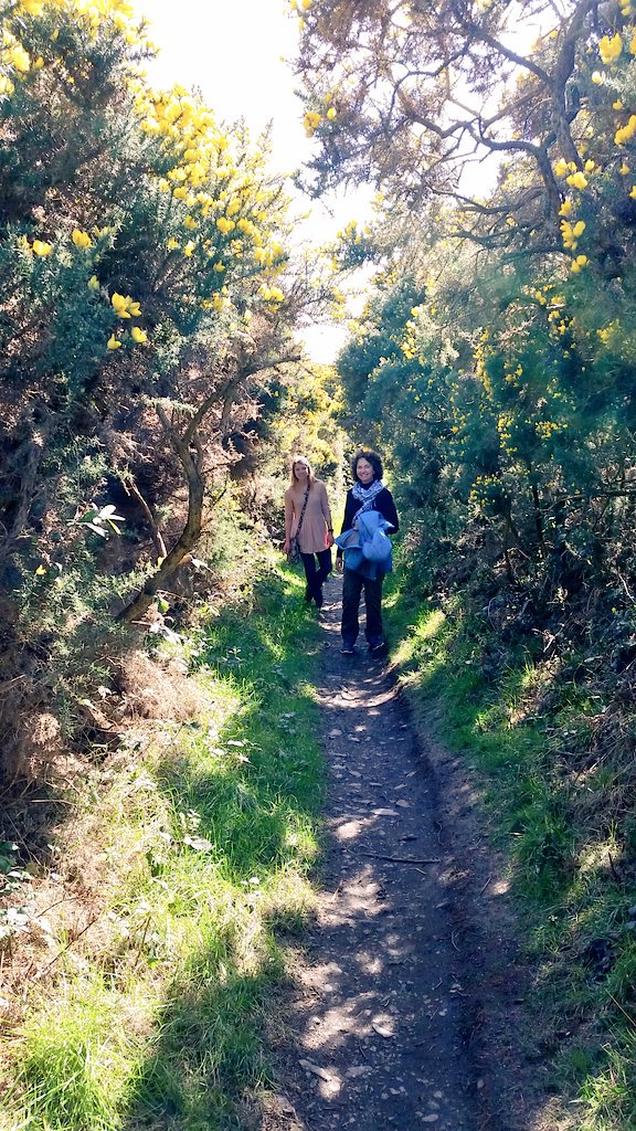 Christobol1's tweet photo. Pretty ascent #WalkAboutIreland https://t.co/I0oZmeoau4