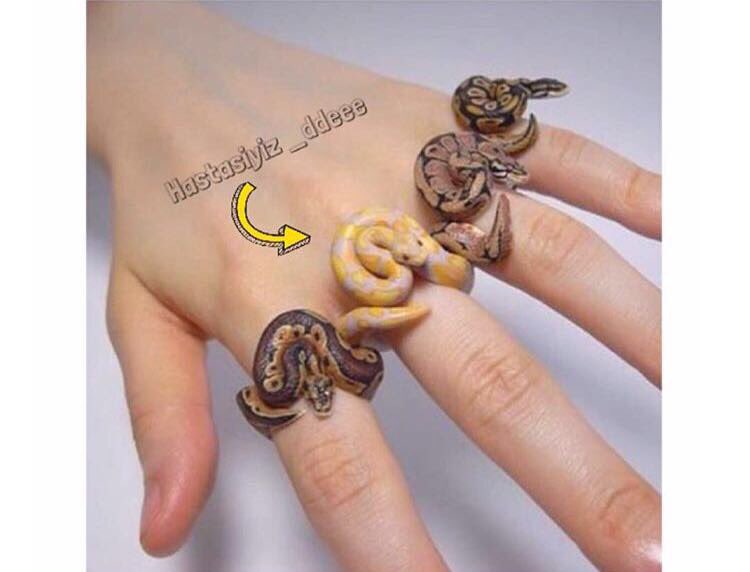 tugccccc's tweet photo. Bazı insanlar bknz🐍🐍🙄🙄 https://t.co/9xTpngSFdN
