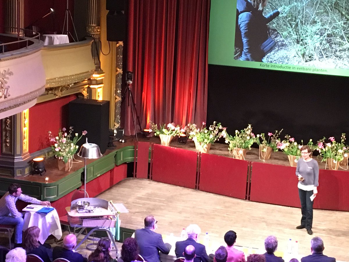 stadsgoud's tweet photo. "Op Expeditie Zilverschoon met een mobiele keuken." Creatieve #groene ideeën tijdens Stadsgoud. #Maastricht https://t.co/PuOKETxaSu