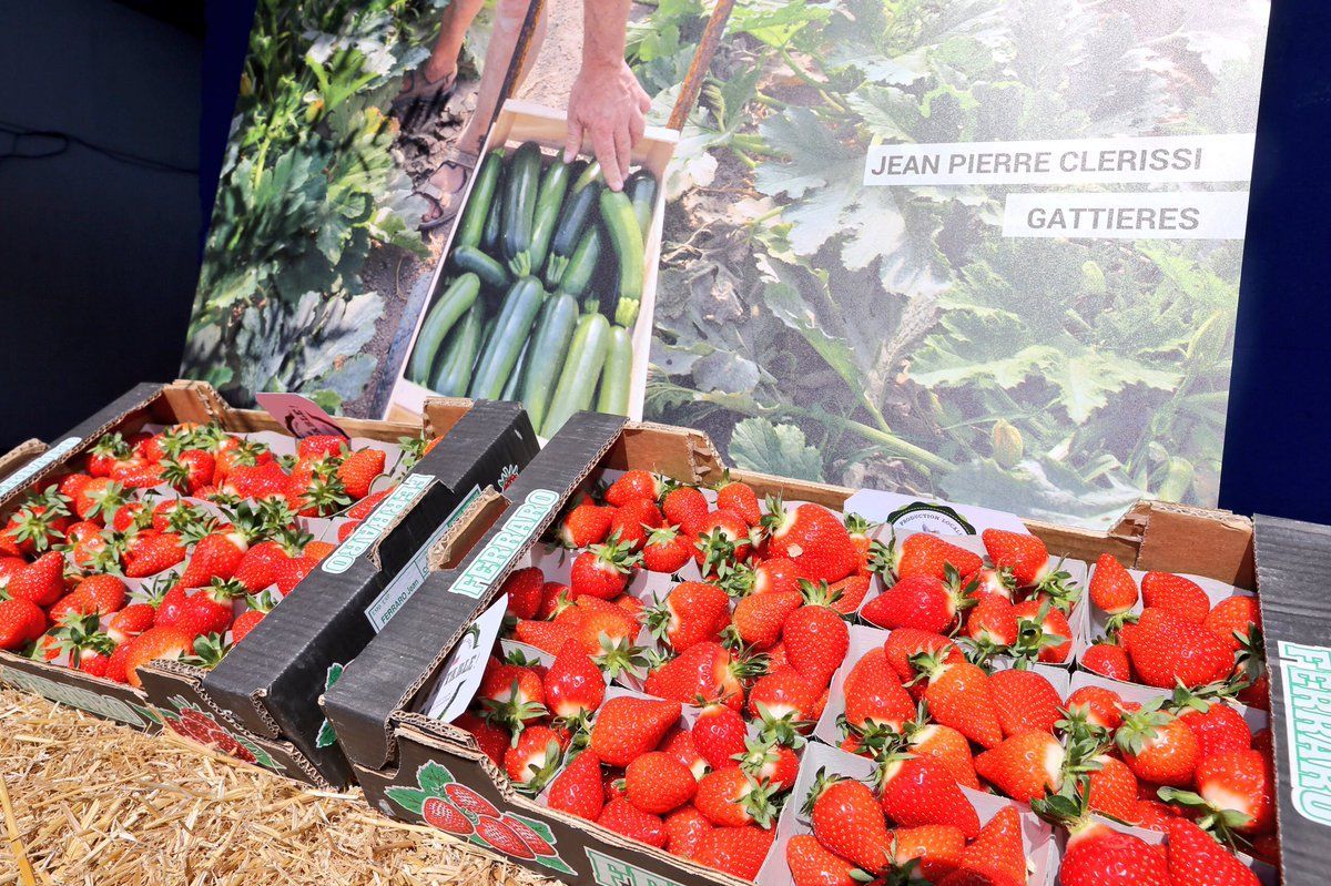 actualites_nrv's tweet photo. L'agriculture est un atout majeur du #Département06
Il faut produire local et soutenir les circuits courts @ECiotti
#06Atable
nice #Nice06 https://t.co/mZxZIPE5SY