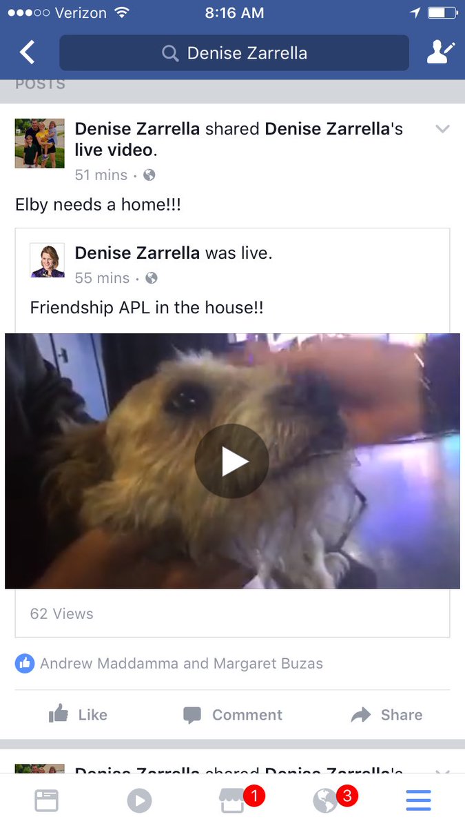 DZarrella19's tweet photo. If I could take Elby Home I would!!! He's at the Friendship APL in Elyria - ready to go home! @BethHMcLeod @cleveland19news https://t.co/wu8vxqWhuv