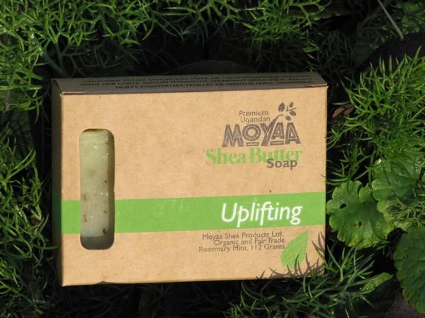 MoyaaShea's tweet photo. Uplift your spirit and your skin with our all natural and organic Shea Butter soap. https://t.co/bNLYSU3wMd #handmade #naturalsolutions https://t.co/1lGDDEccS8