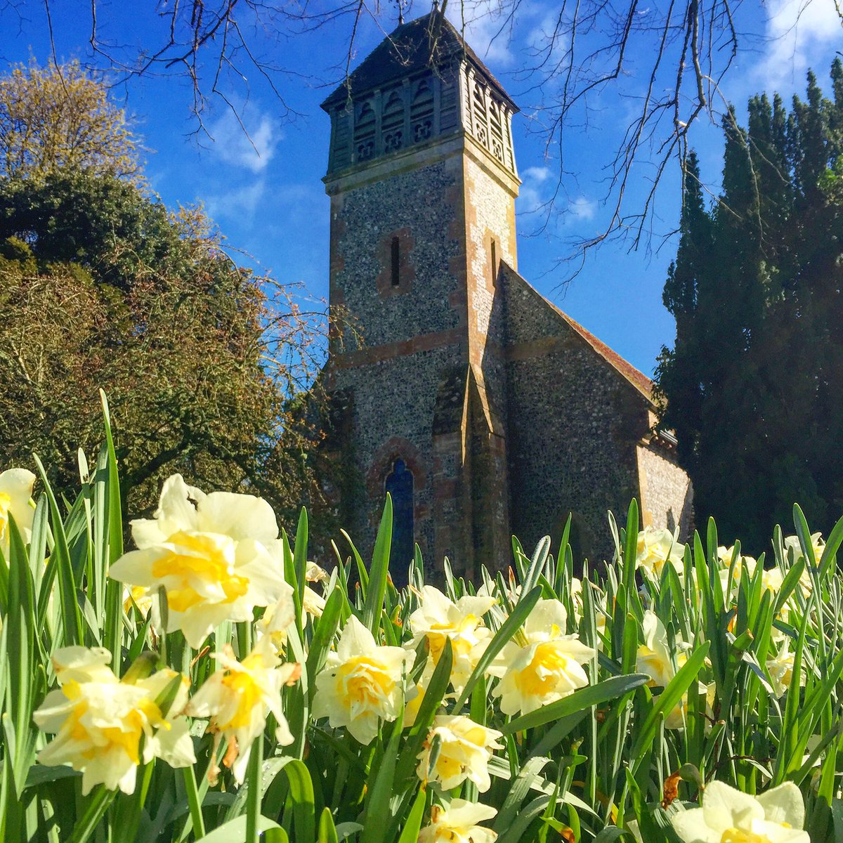 DamonSmoke76's tweet photo. Beautiful sunny #Spring morning for a walk around @HintonAmpnerNT #HintonAmpner #Hampshire @VisitHampshire @nationaltrust #DuttonEstateWalk https://t.co/bcLgoyqE1J