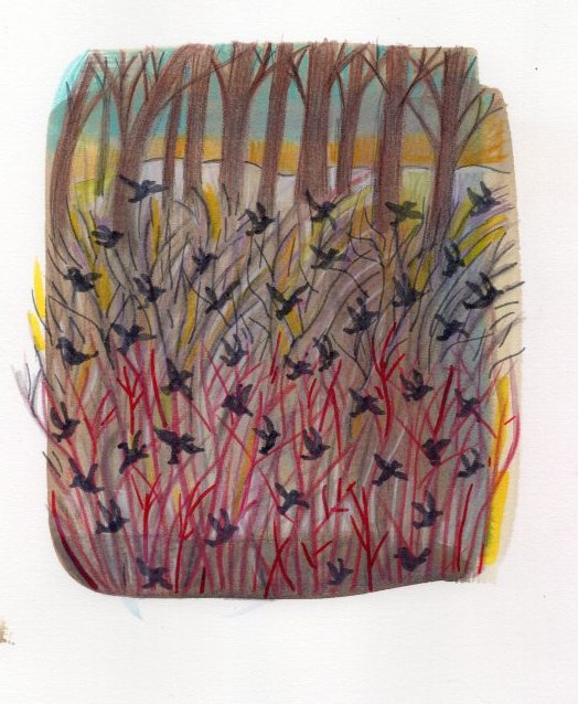 drawstuff's tweet photo. Color and birds have returned after the long winter. #doodle #aprilishere #welcomebackbirds https://t.co/I9TXiMgEoY