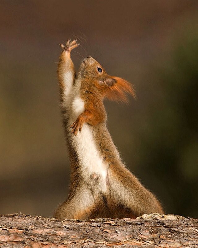 RumboIdiomas's tweet photo. Sunday! Let's go!!! #rumboidiomas #aprendeidiomas #energy #happy #saturdaynight #nicetime https://t.co/xodfblKbIA