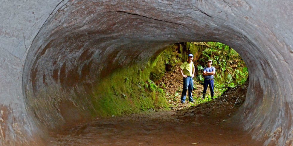 There Are Huge Tunnels in #SouthAmerica Dug By Extinct Giant #Sloths ~ popularmechanics.com/science/enviro… ~ ~ #biodiversity #environment #extinction