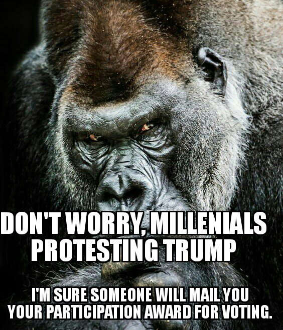 bitter_unhinged's tweet photo. The first trump supporter post I have ever agreed with https://t.co/PeusLIW7sE
