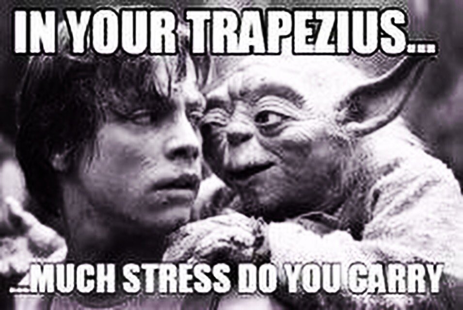 sweetharmonyht's tweet photo. ๐๐ #yoda is just the best! #massagetherapy #indianheadmassage #upperbackmassage #lifeforce #lifeenergy https://t.co/3mK45pS4br