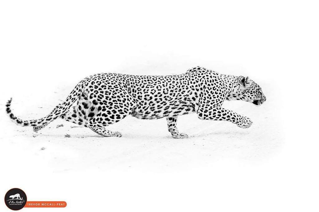 Africa@CloseQuarters tweet media