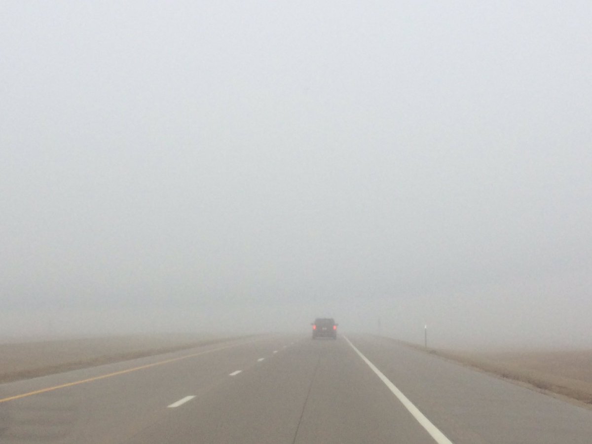 MAB_SlickRock's tweet photo. Here we have a tiger-tailed van in the foggy kansas wilderness. https://t.co/xLWga25WTs