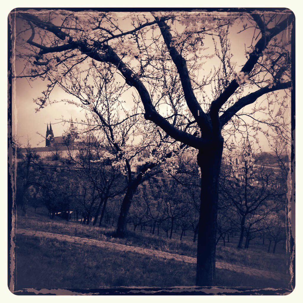 shotworldwide's tweet image. #prague #spring